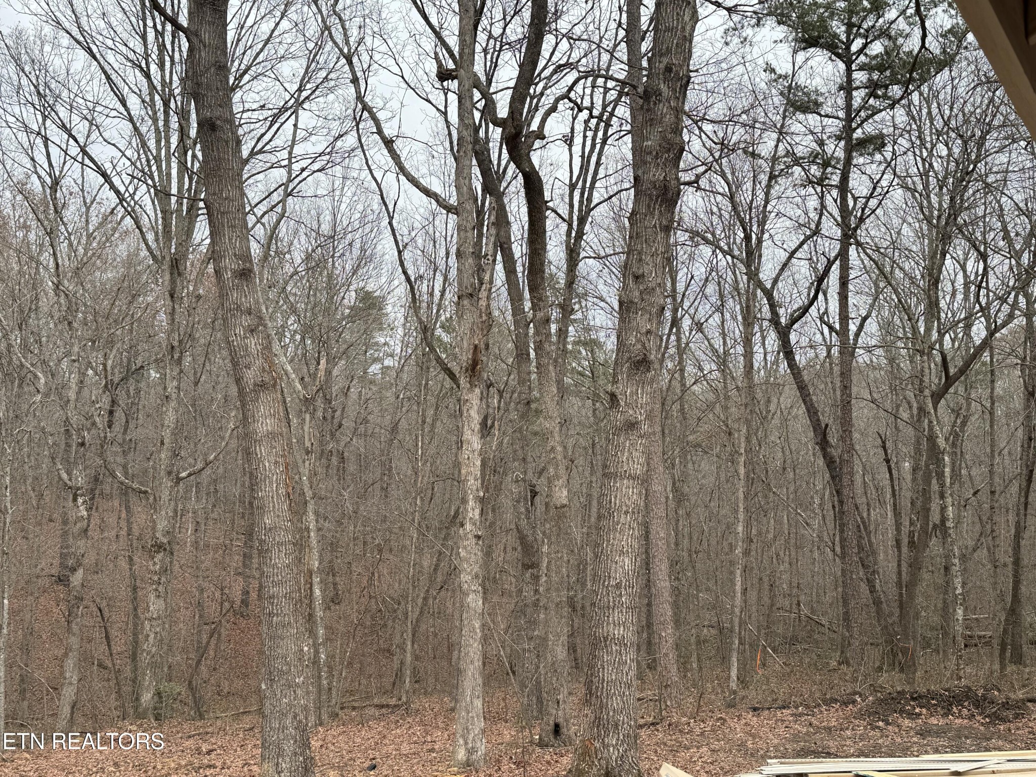 334 Cumberland Cove Rd