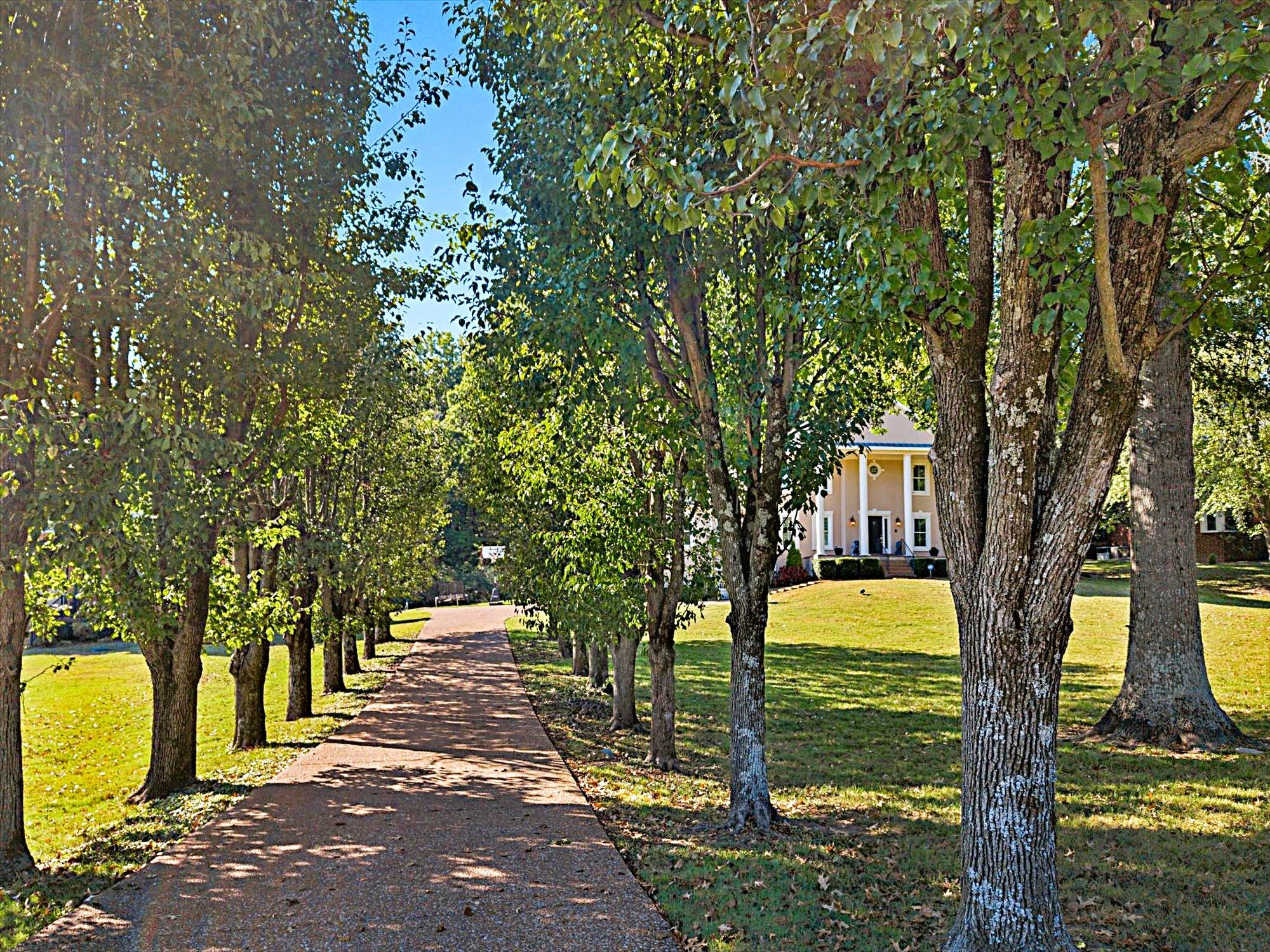 1803 Lake Meadow Trl