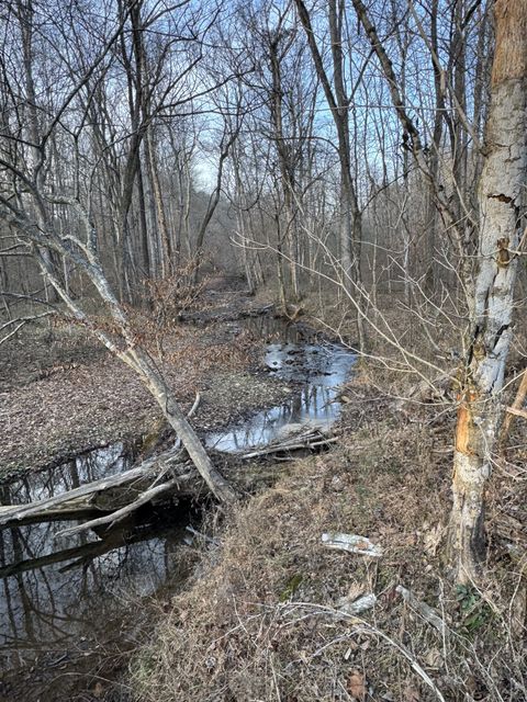 0 Macon Wall Rd Ashland City TN 37015