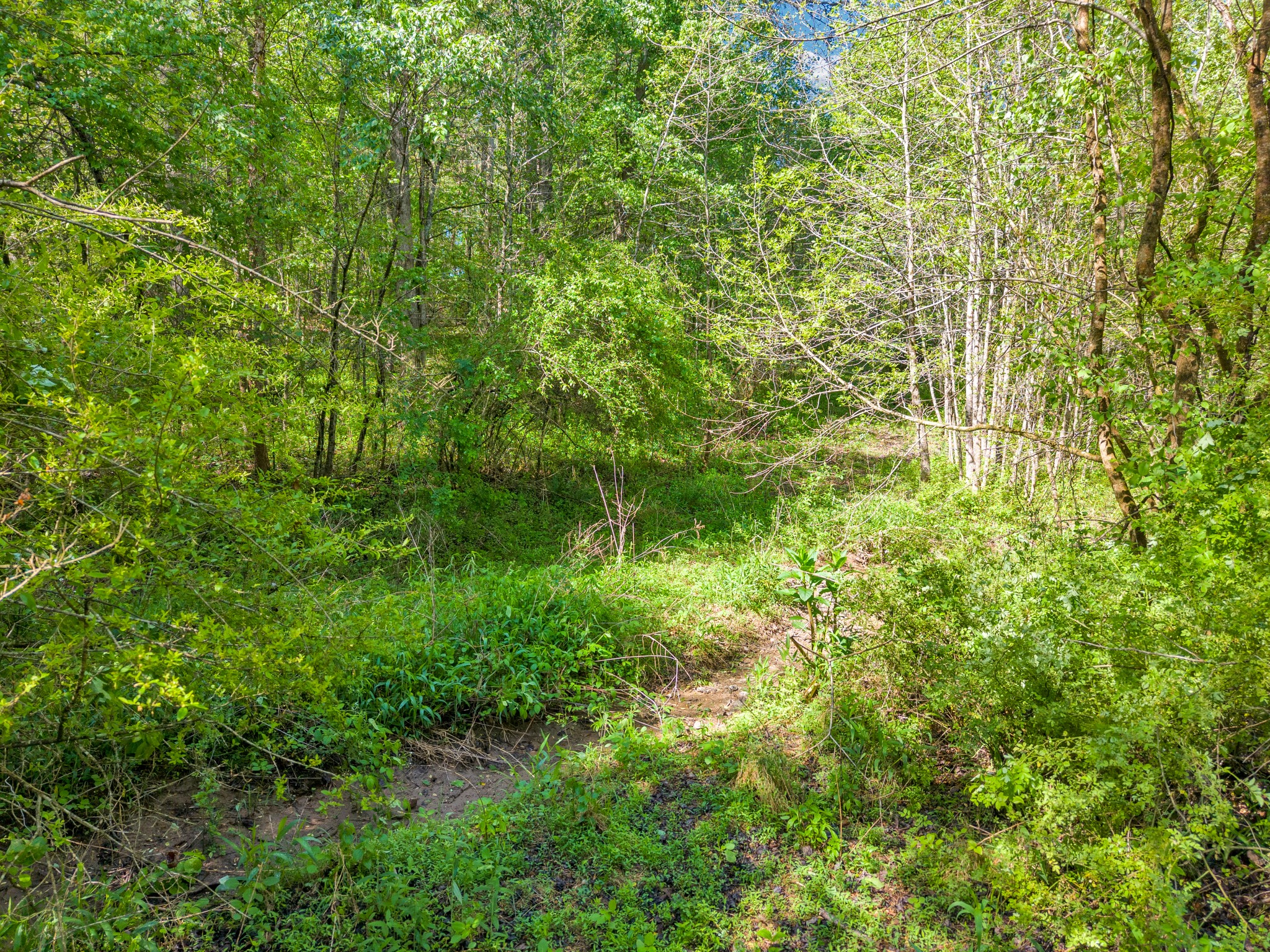 6 Cane Creek Rd