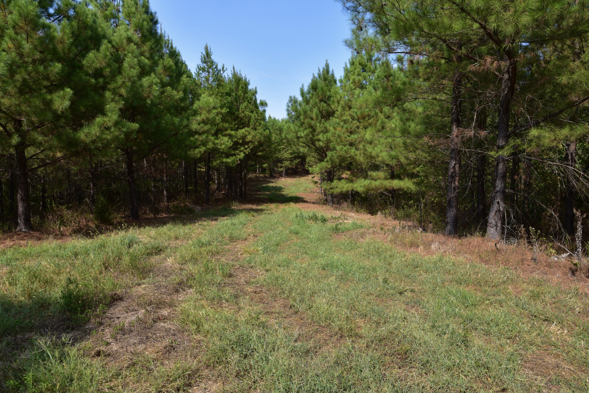 0 Fire Tower Rd