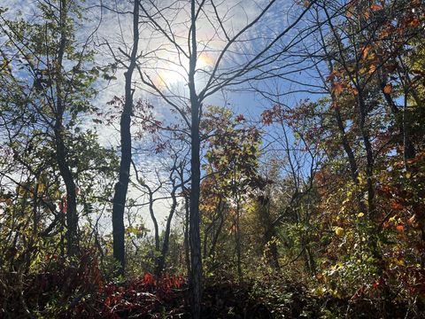 4 Clyde Webb Tennessee Ridge TN 37178