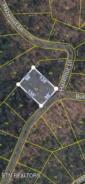 103 Buckeye Rd