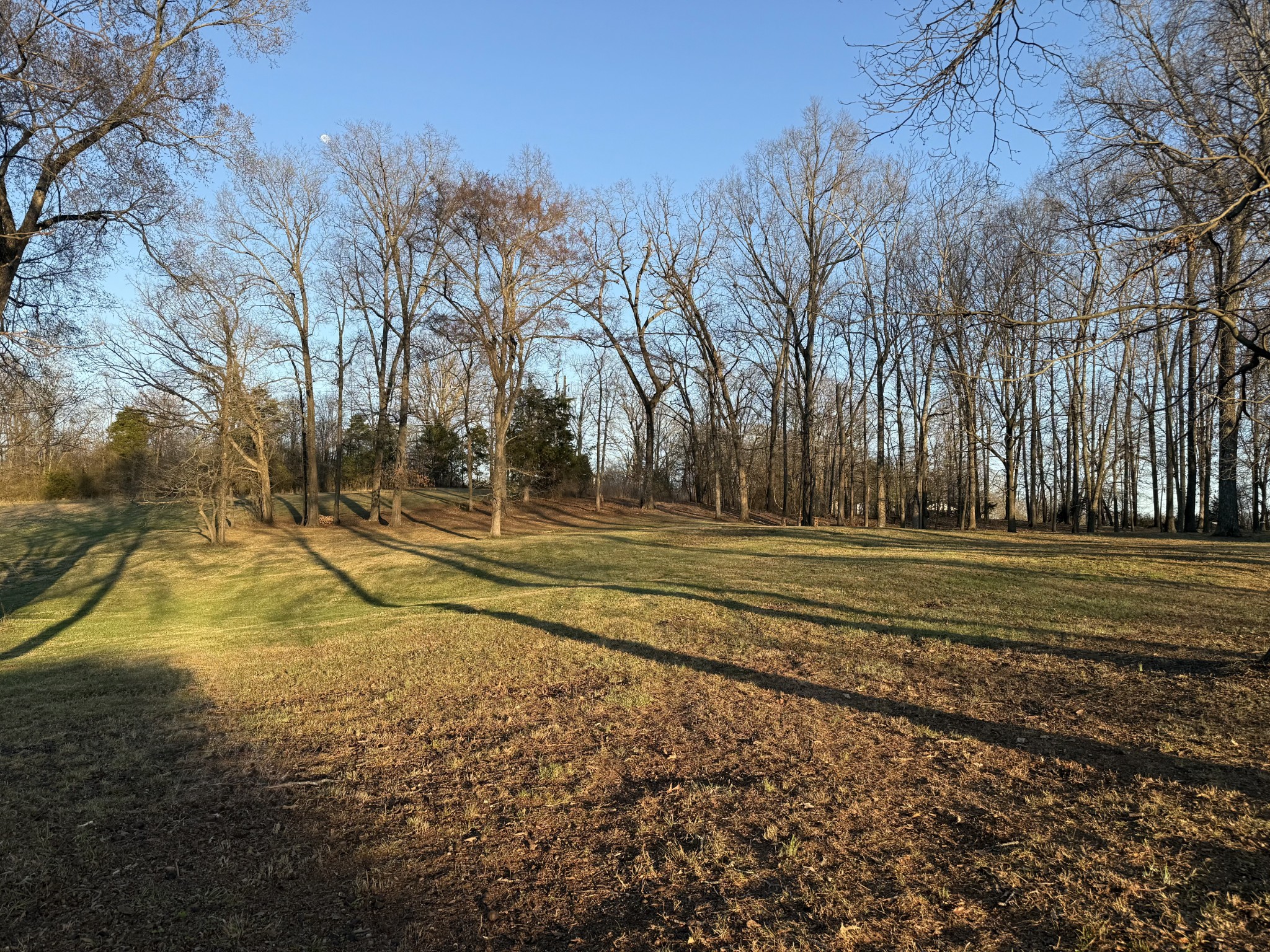 0 Sugar Leaf Cir