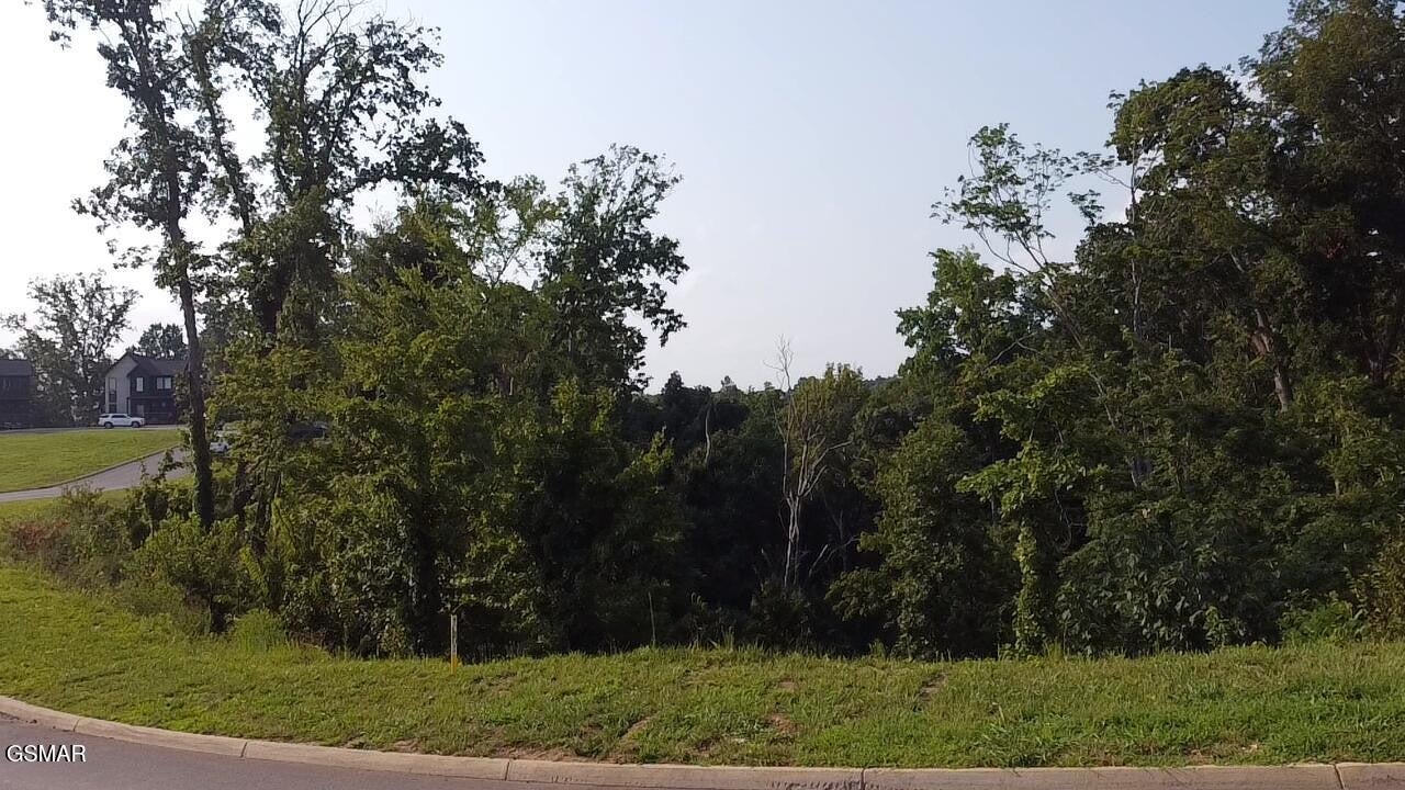 145 Reedmont Way