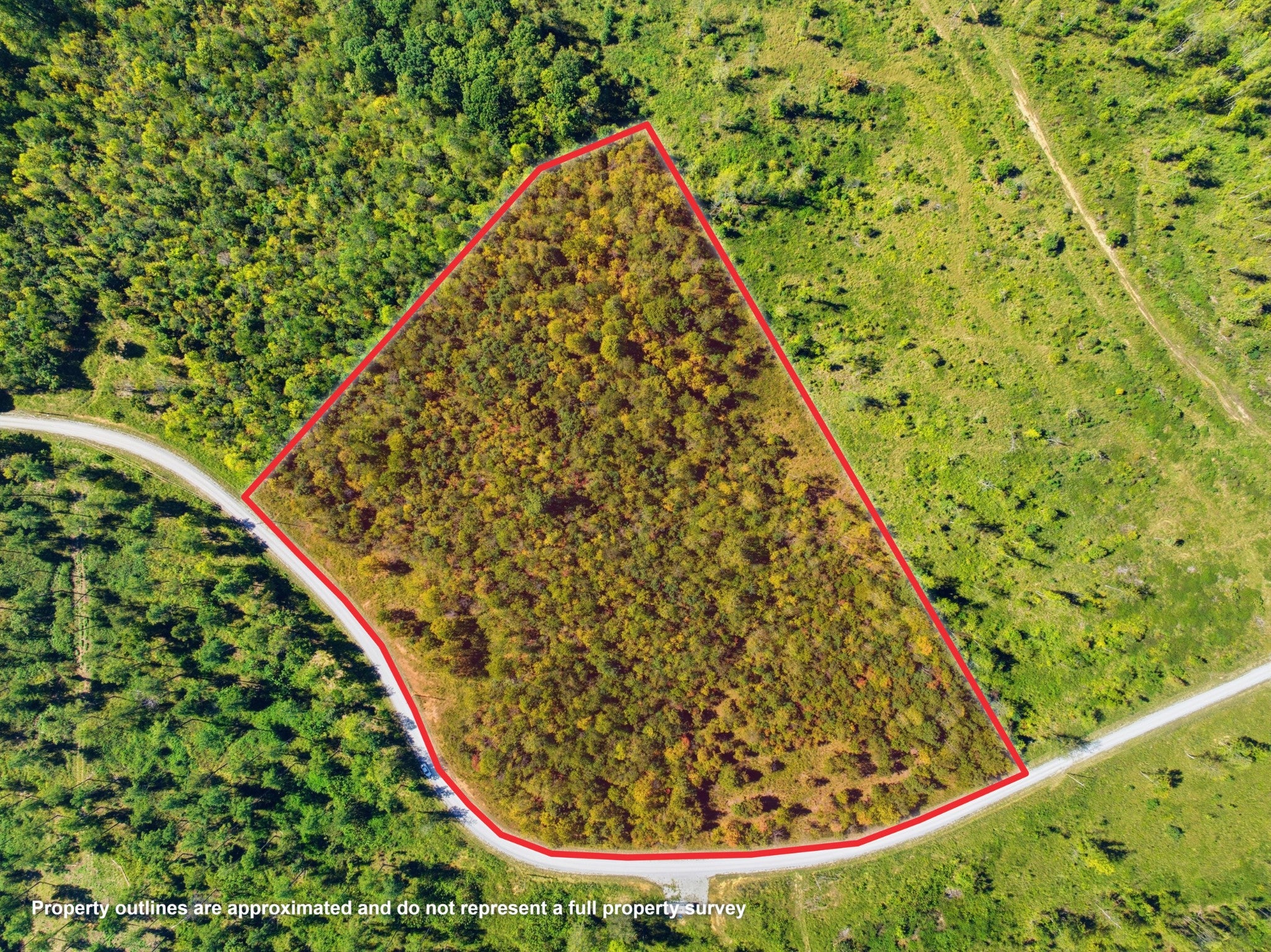 98 Saddleback Drive