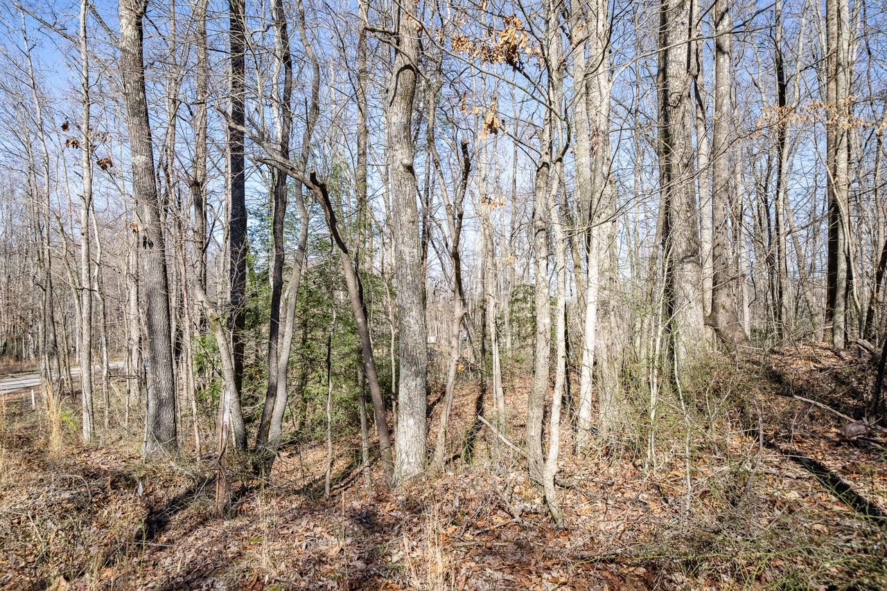 0 Old Altamont Rd