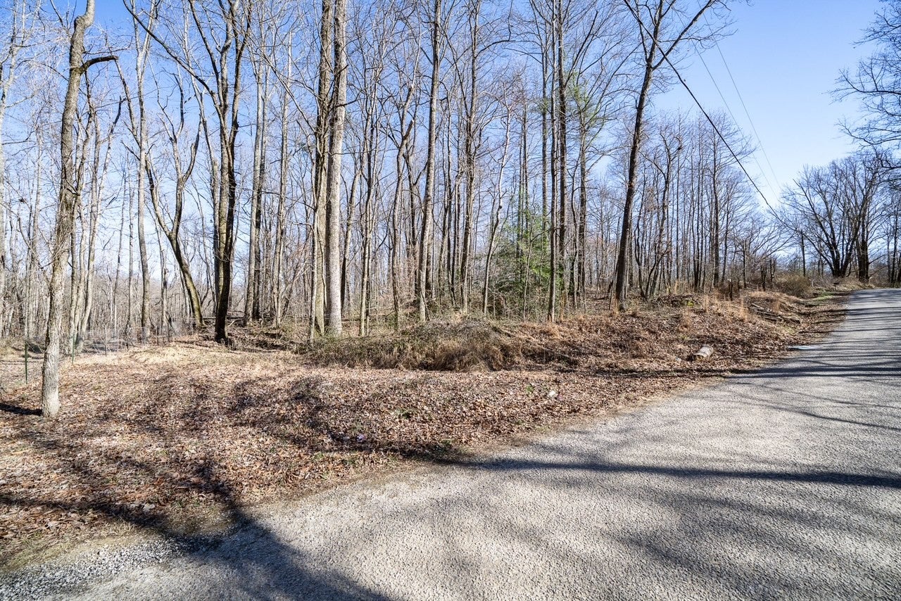 0 Old Altamont Rd