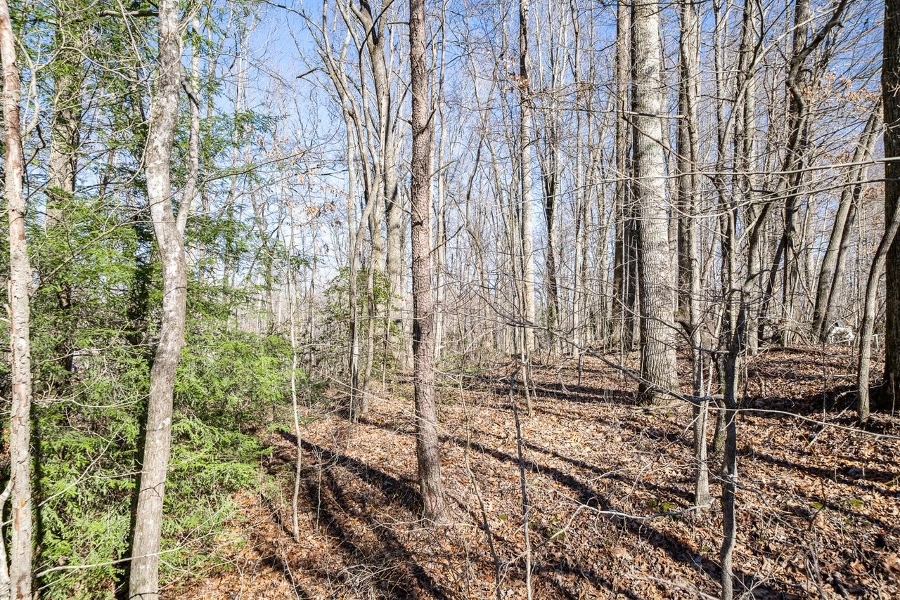 0 Old Altamont Rd