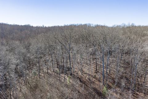 Photo of 0 Old Altamont Rd, Tracy City, TN 37387 (MLS # 3136796)