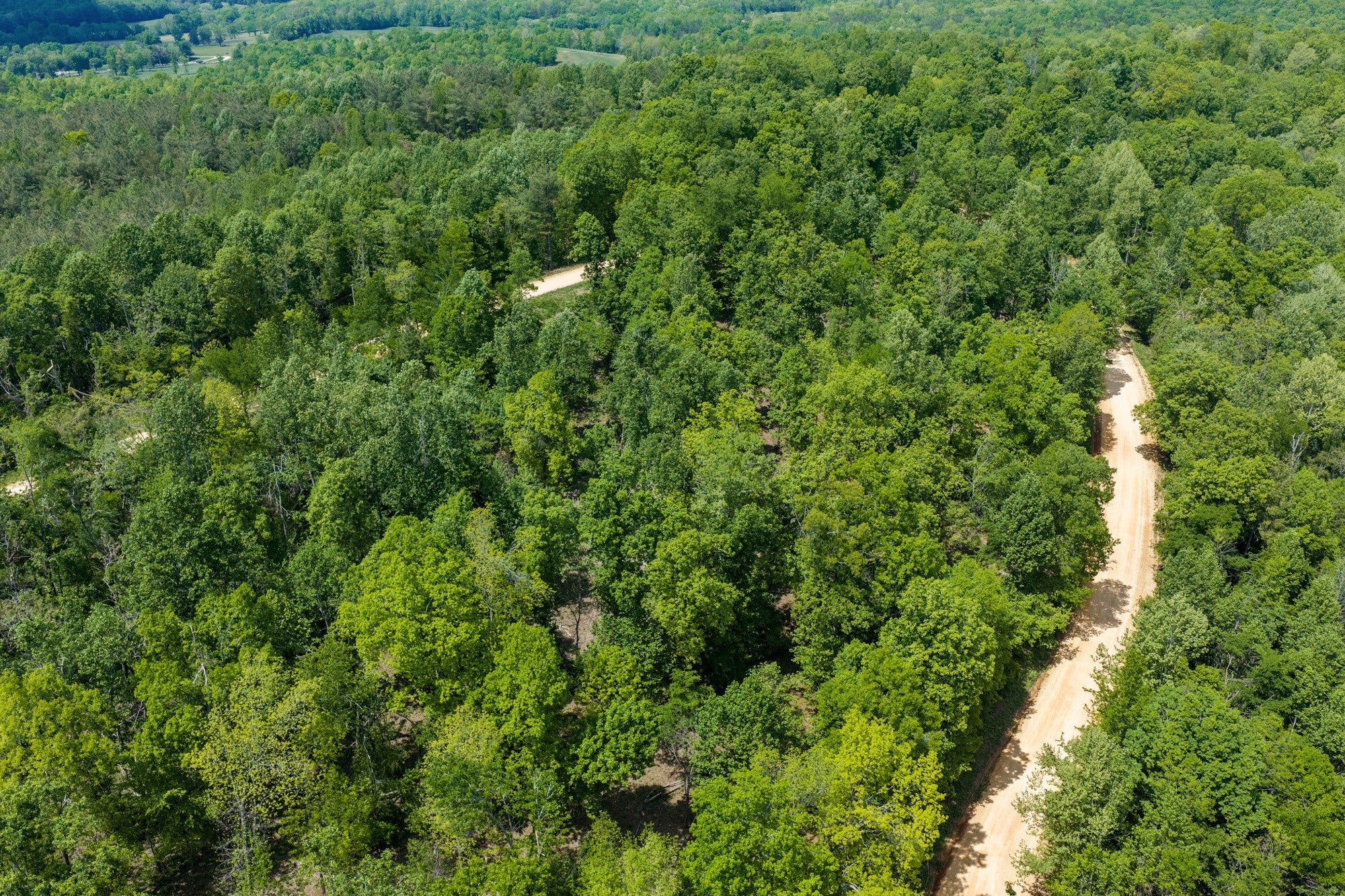 588 EAGLES NEST LANDING