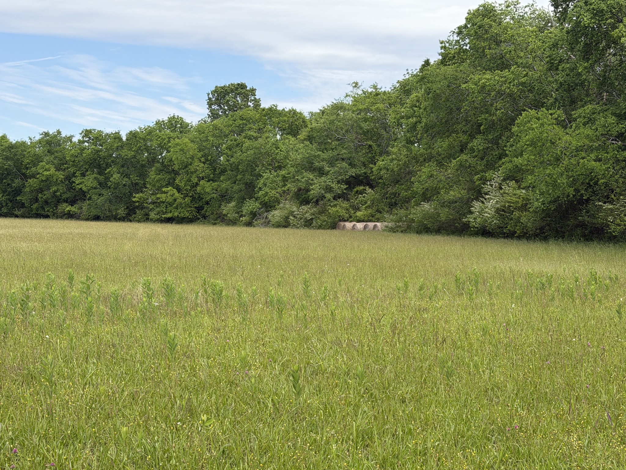 0 Madison Creek Road