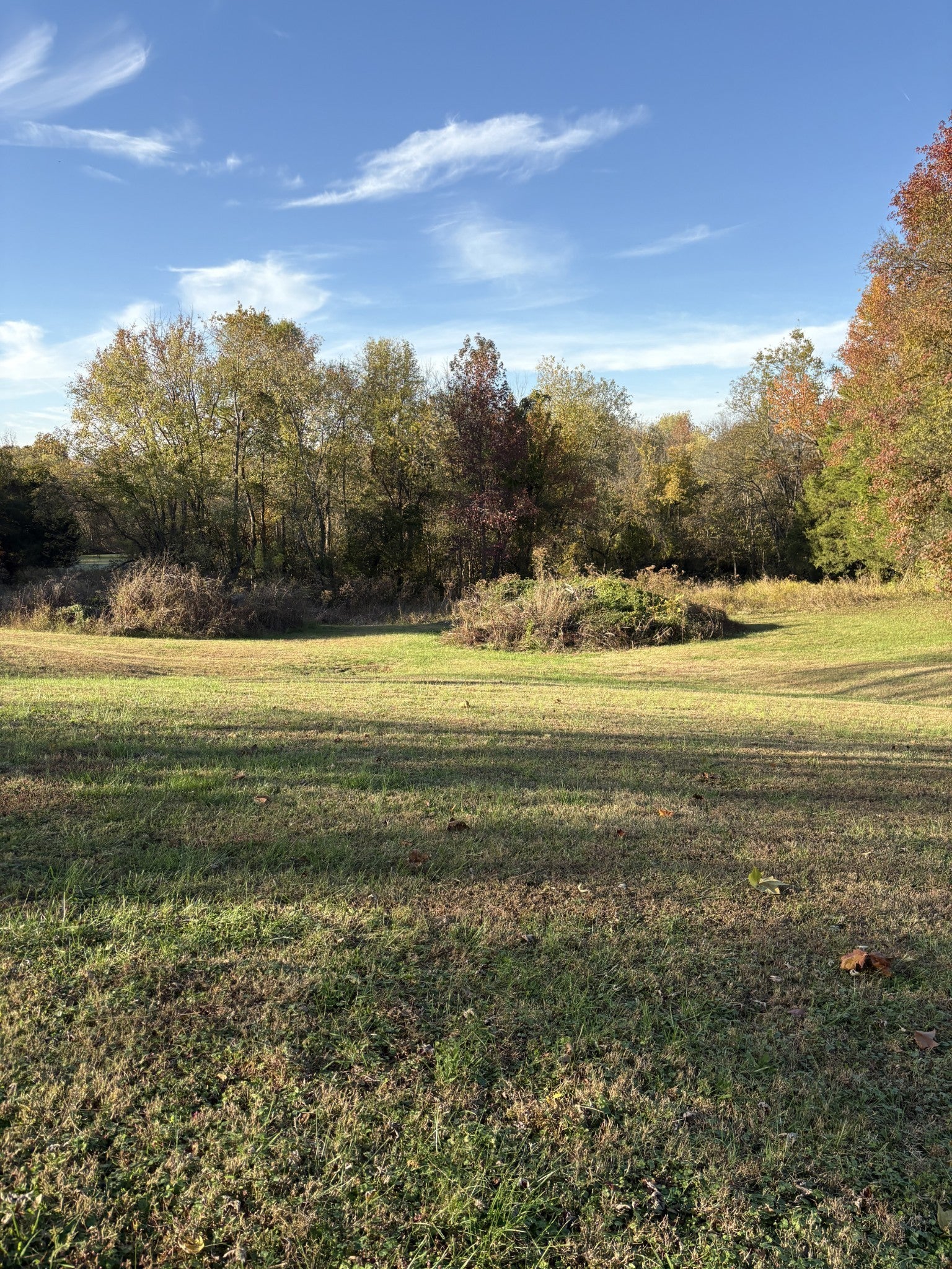 8989 Lebanon Rd