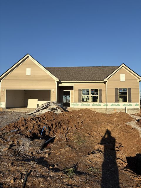 Photo of 421 Burton Farms Dr, Smyrna, TN 37167 (MLS # 3038940)