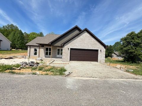 Photo of 100 Lexie Ln, Lawrenceburg, TN 38464 (MLS # 3180270)