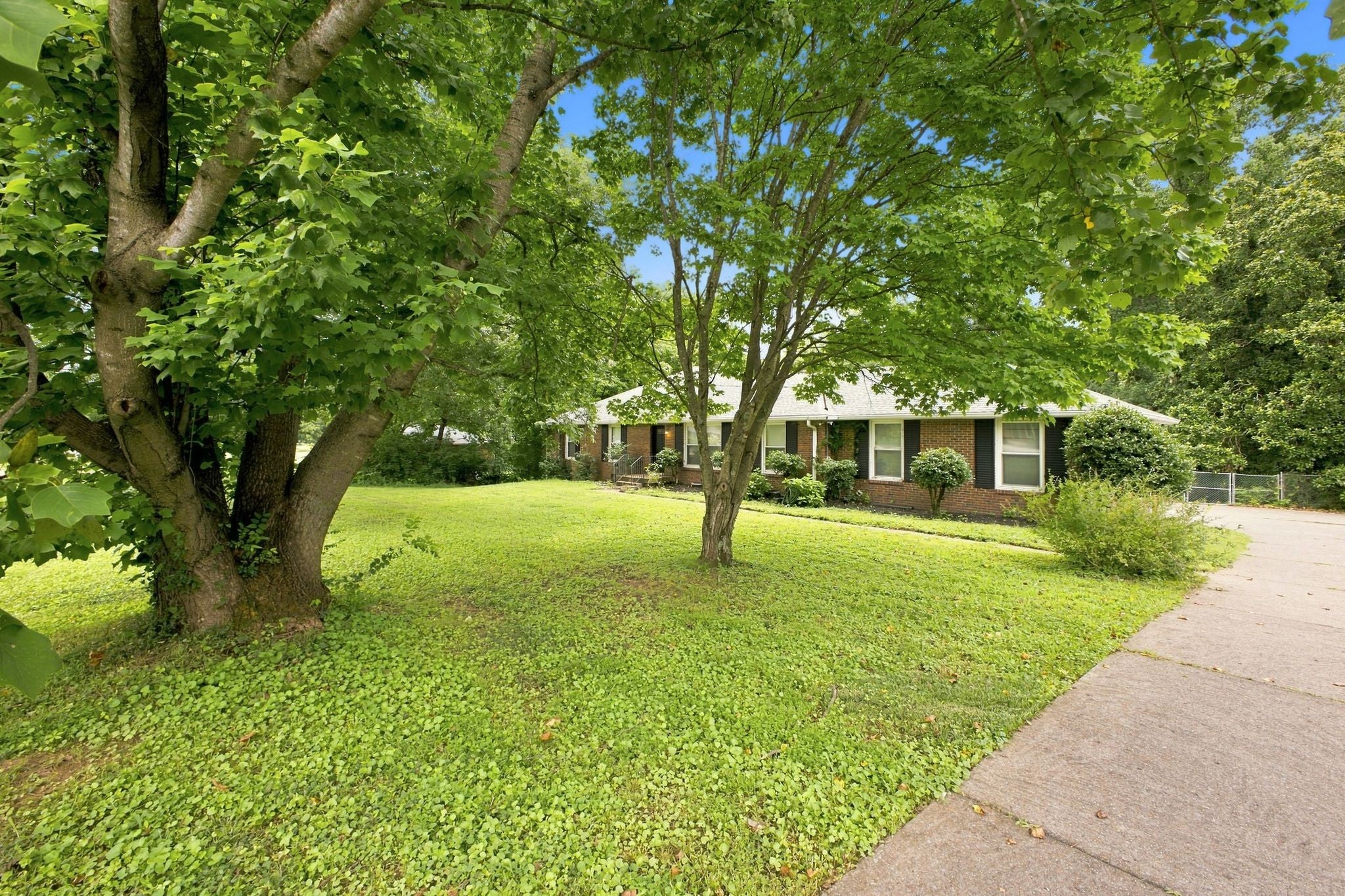 313 Timberdale Ct