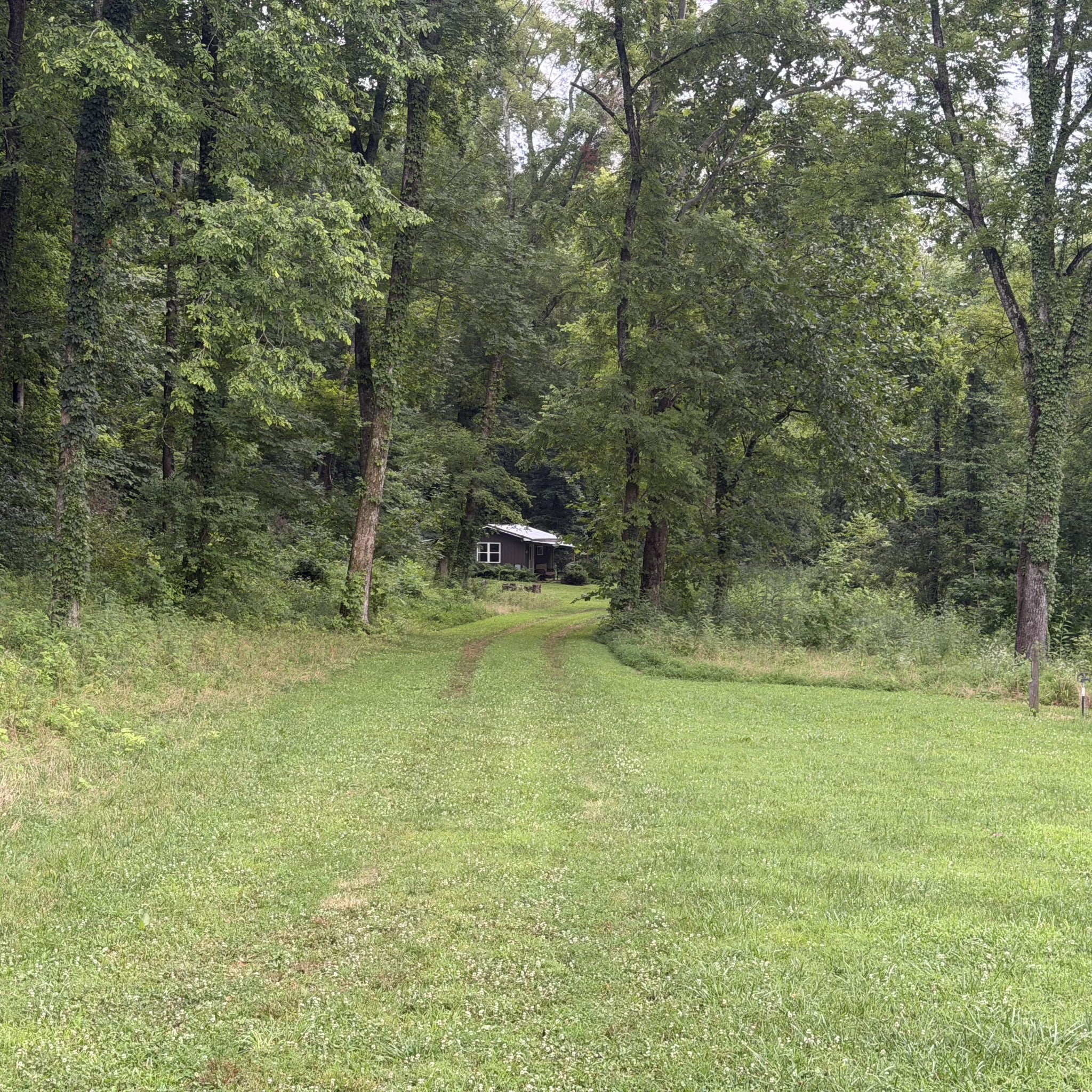 2677 Pigg Schoolhouse Rd