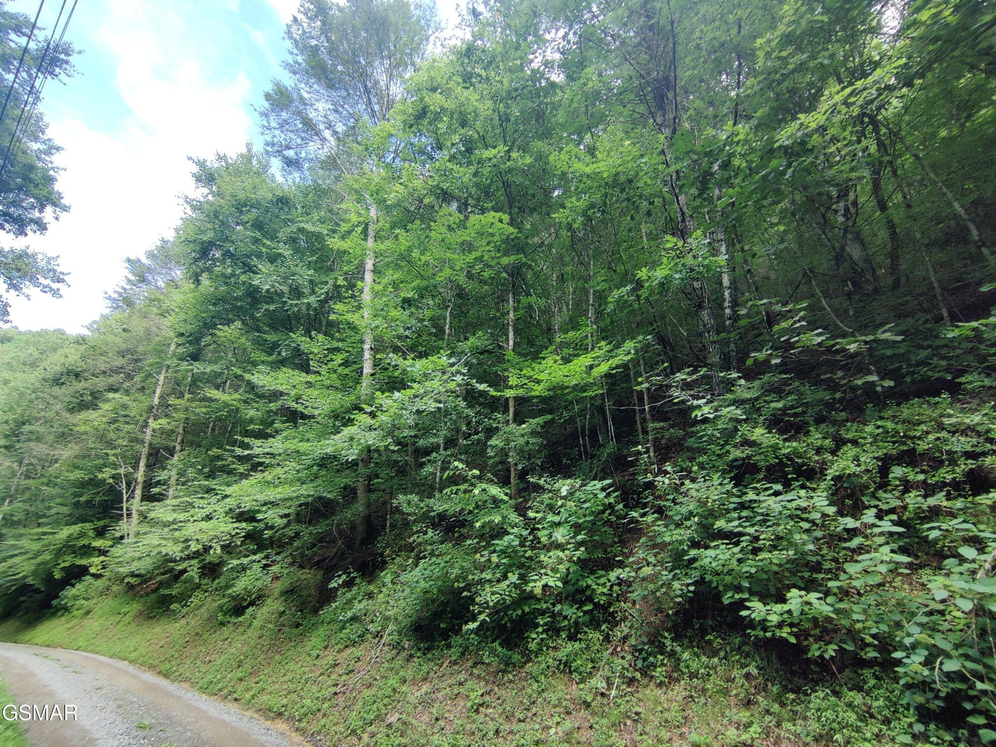 0 Old Hag Hollow Way