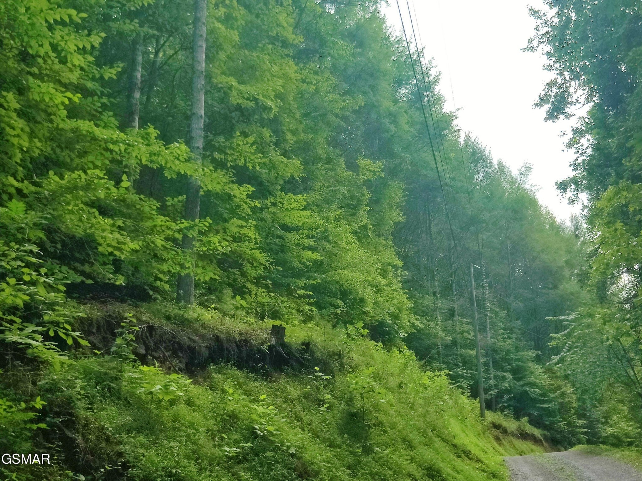 0 Old Hag Hollow Way