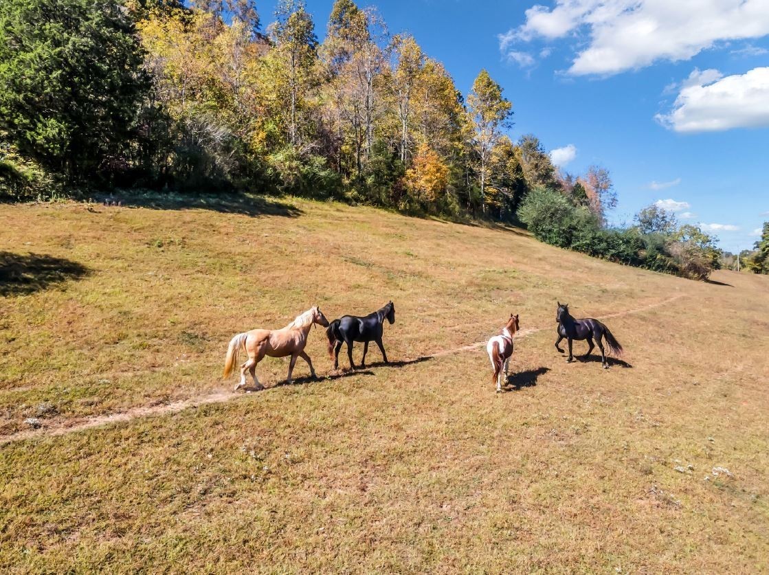 13581 Campbellsville Rd