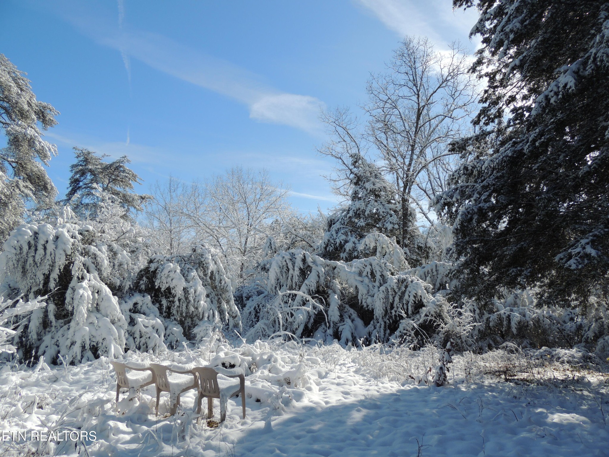 10528 Thorngrove Pike