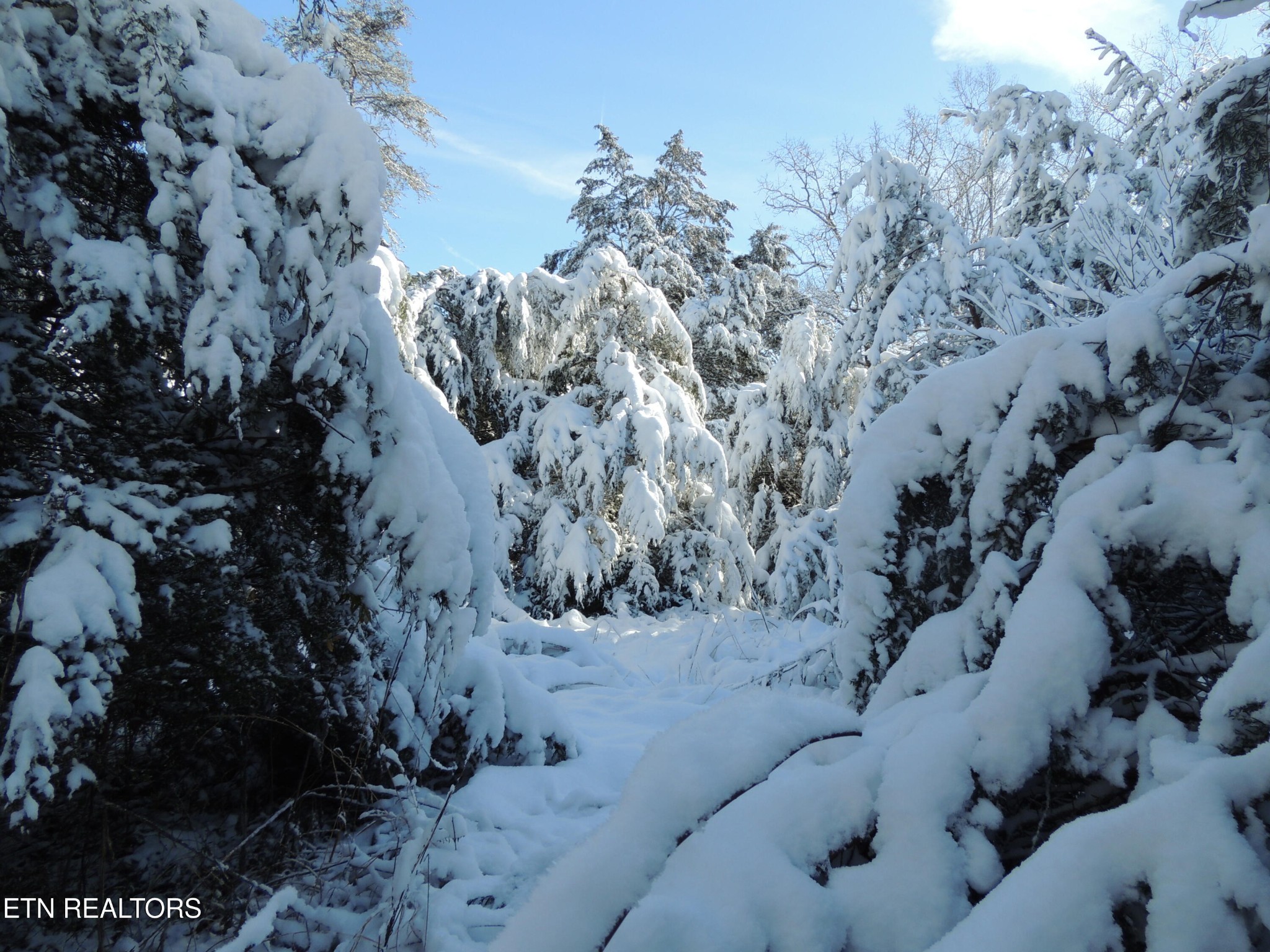 10528 Thorngrove Pike