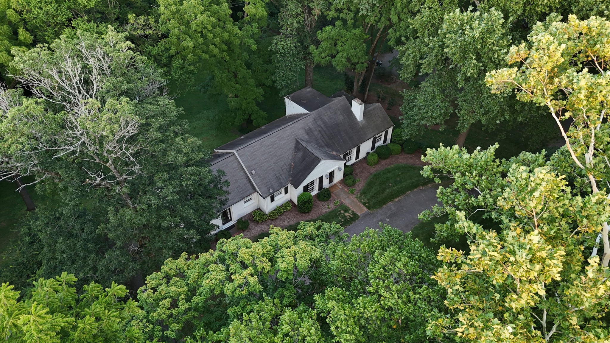 406 Sunnyside Dr