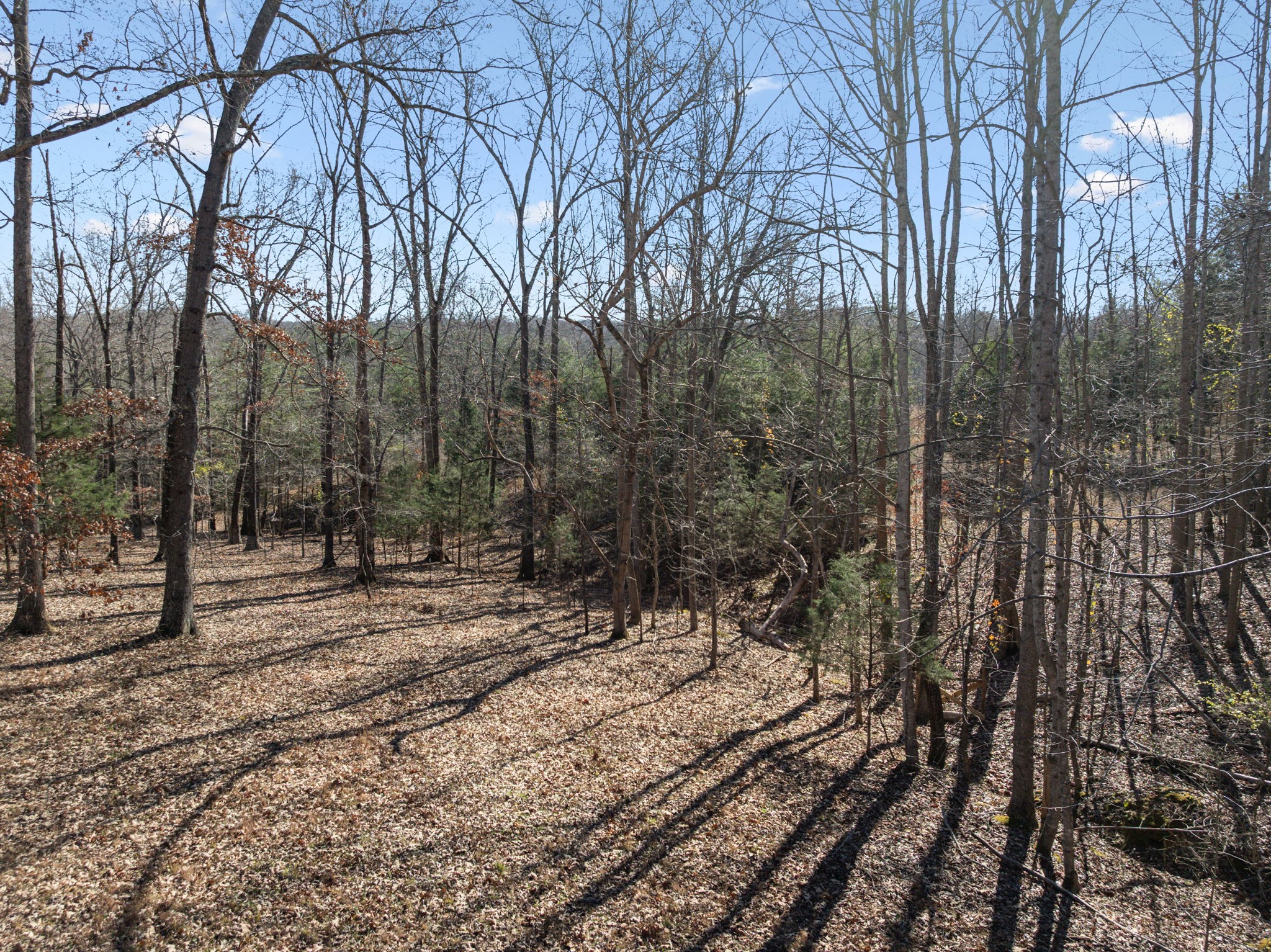 1209 Whippoorwill Dr