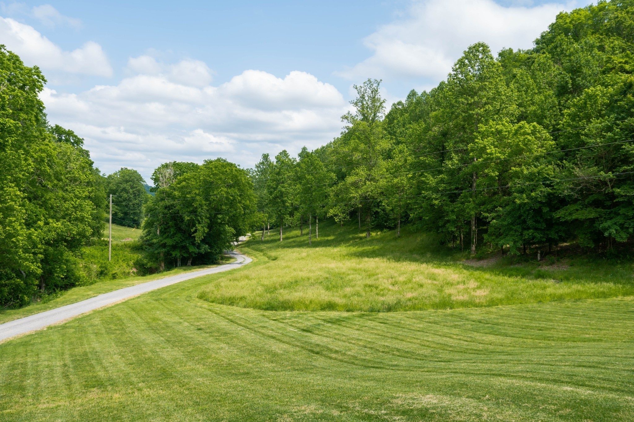 250 Woodard Hollow Ln