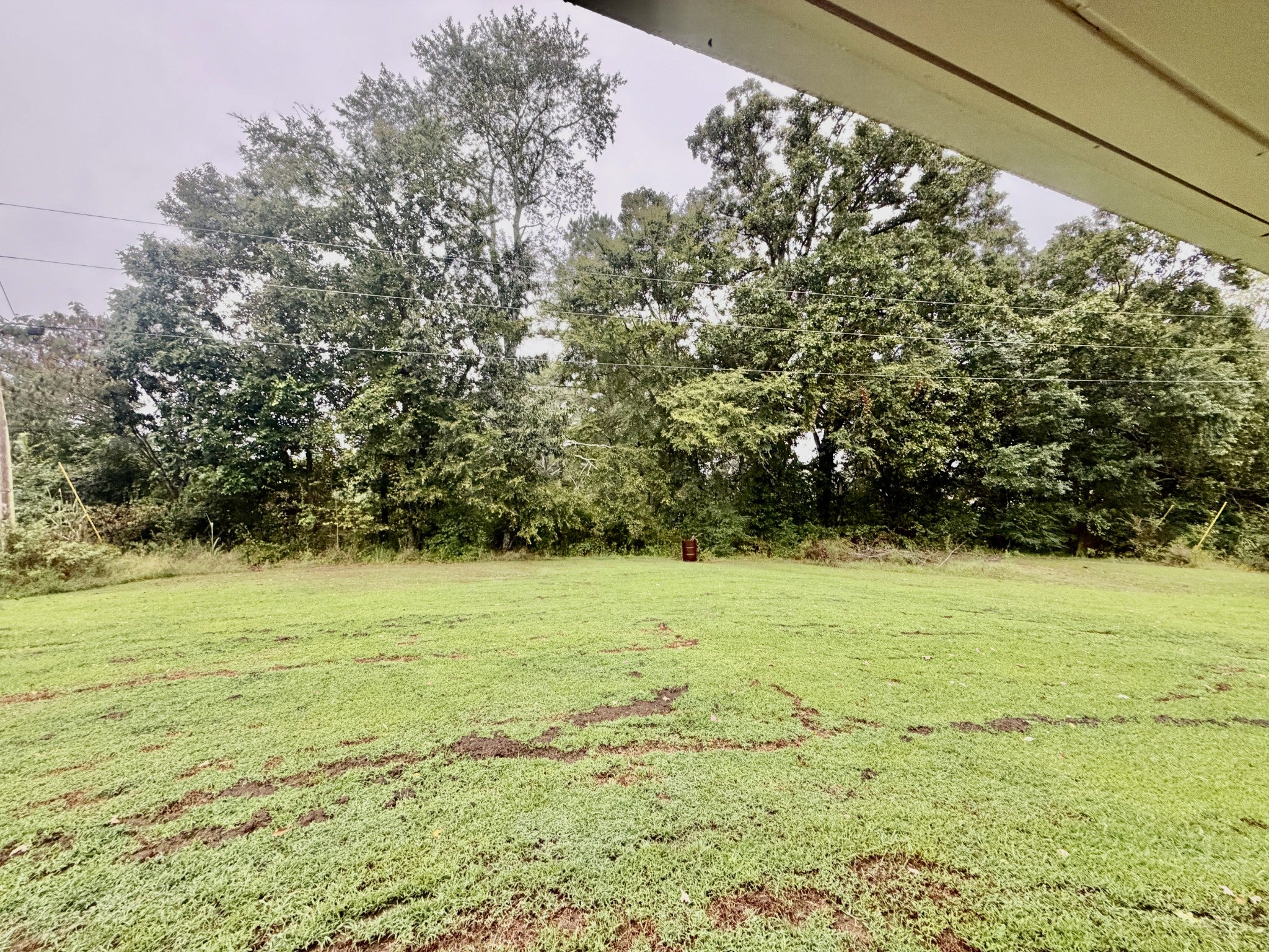 31861 County Road 8