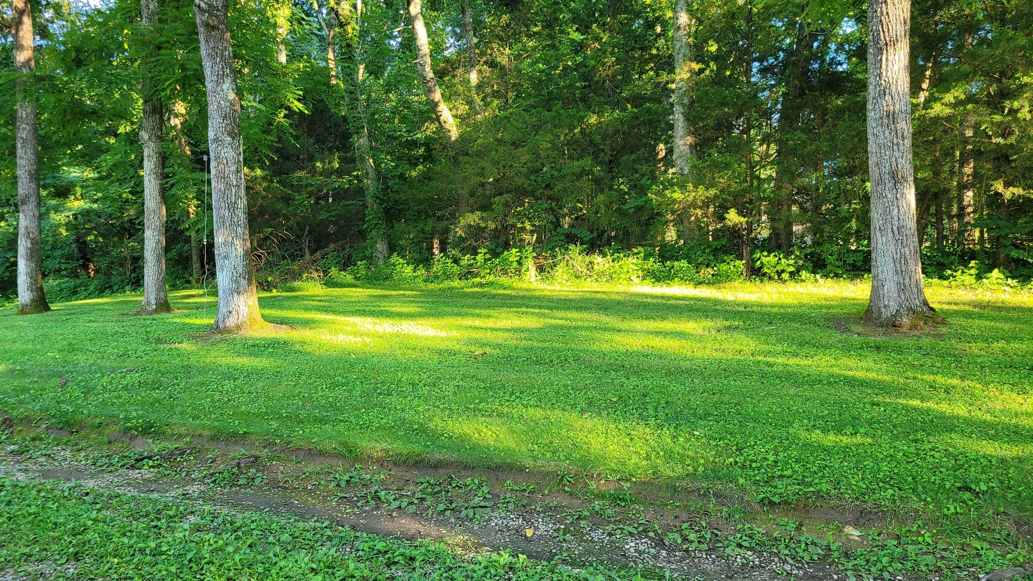 4698 Bennett Hollow Rd