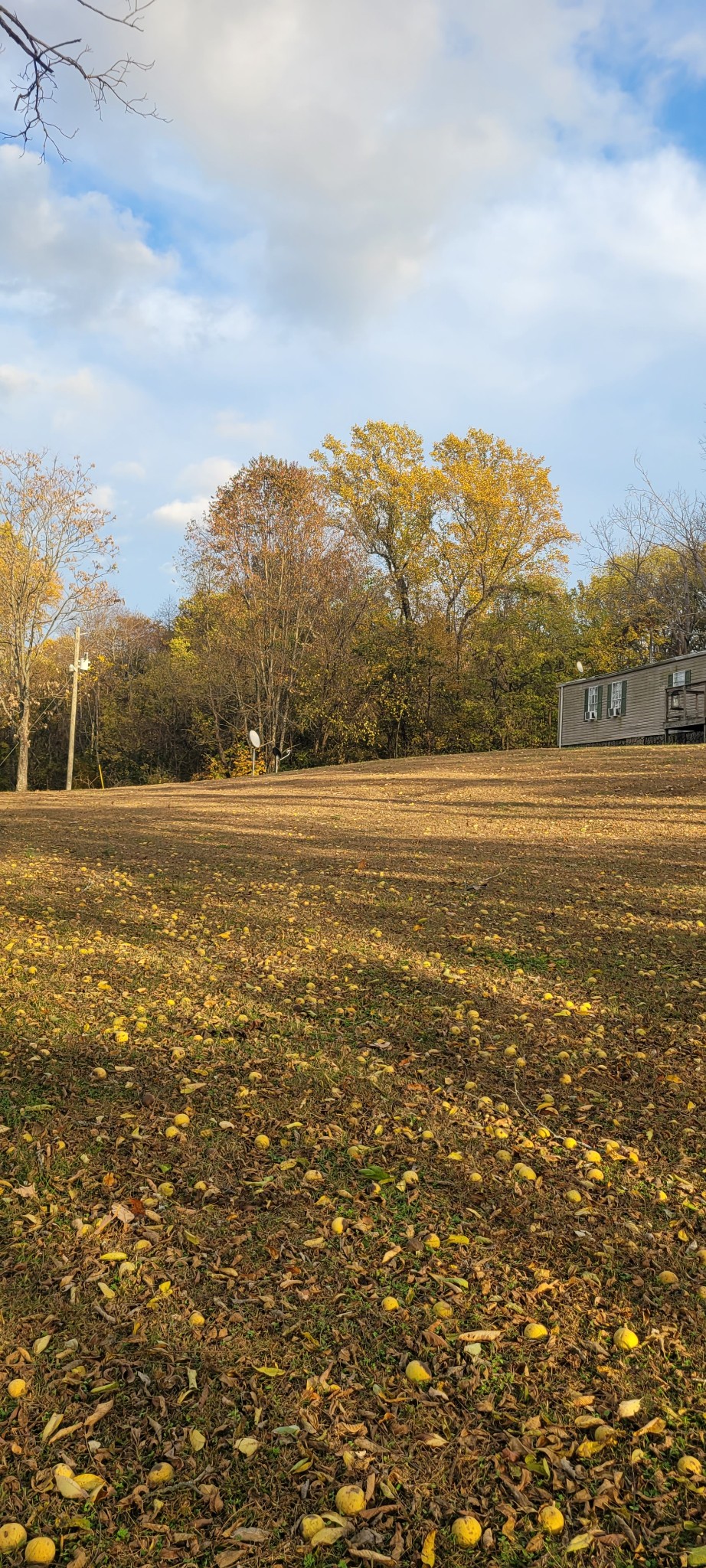 4698 Bennett Hollow Rd