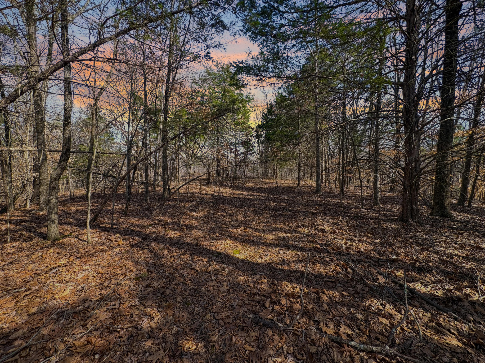 2287 Butcher Ridge RD