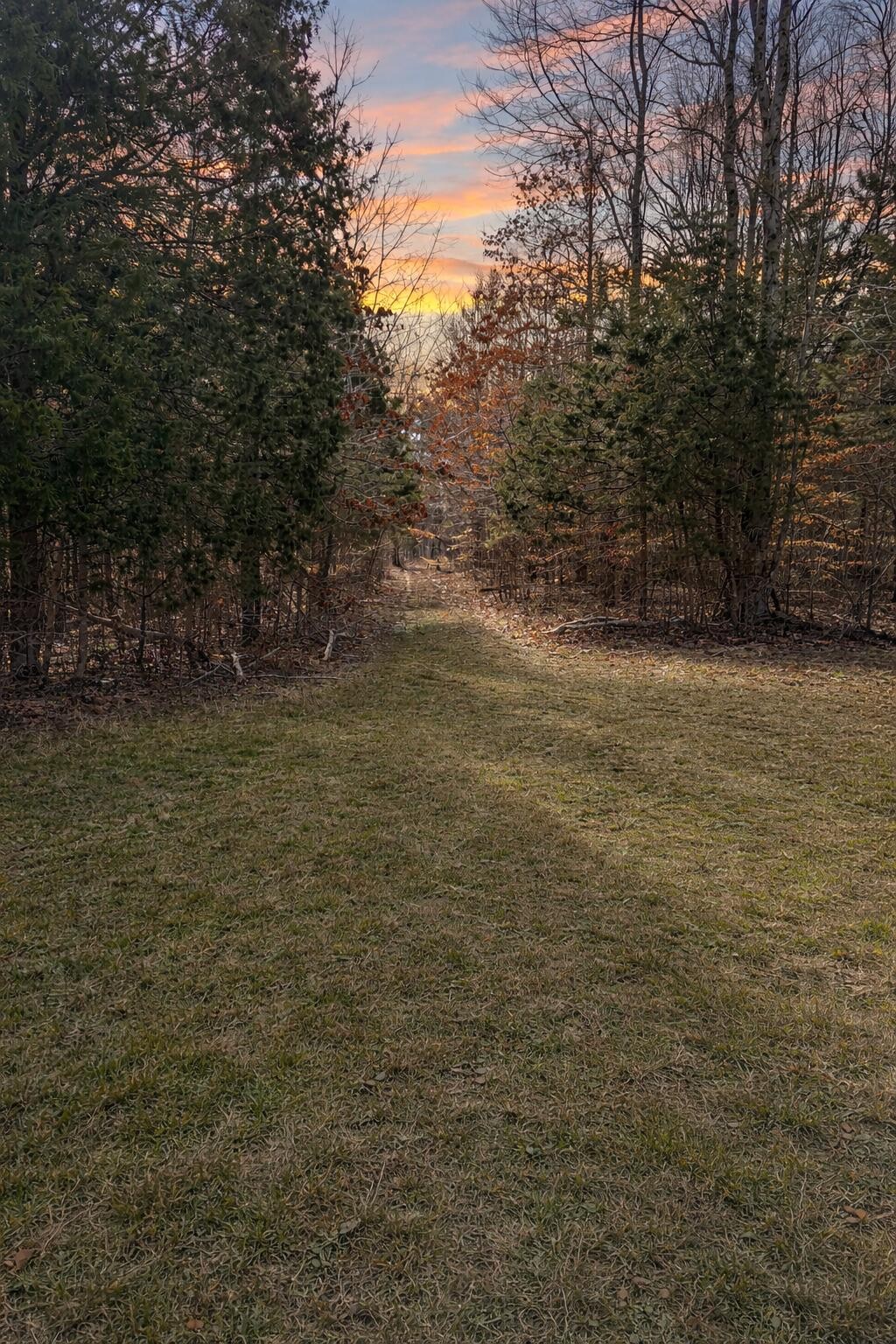 2287 Butcher Ridge RD