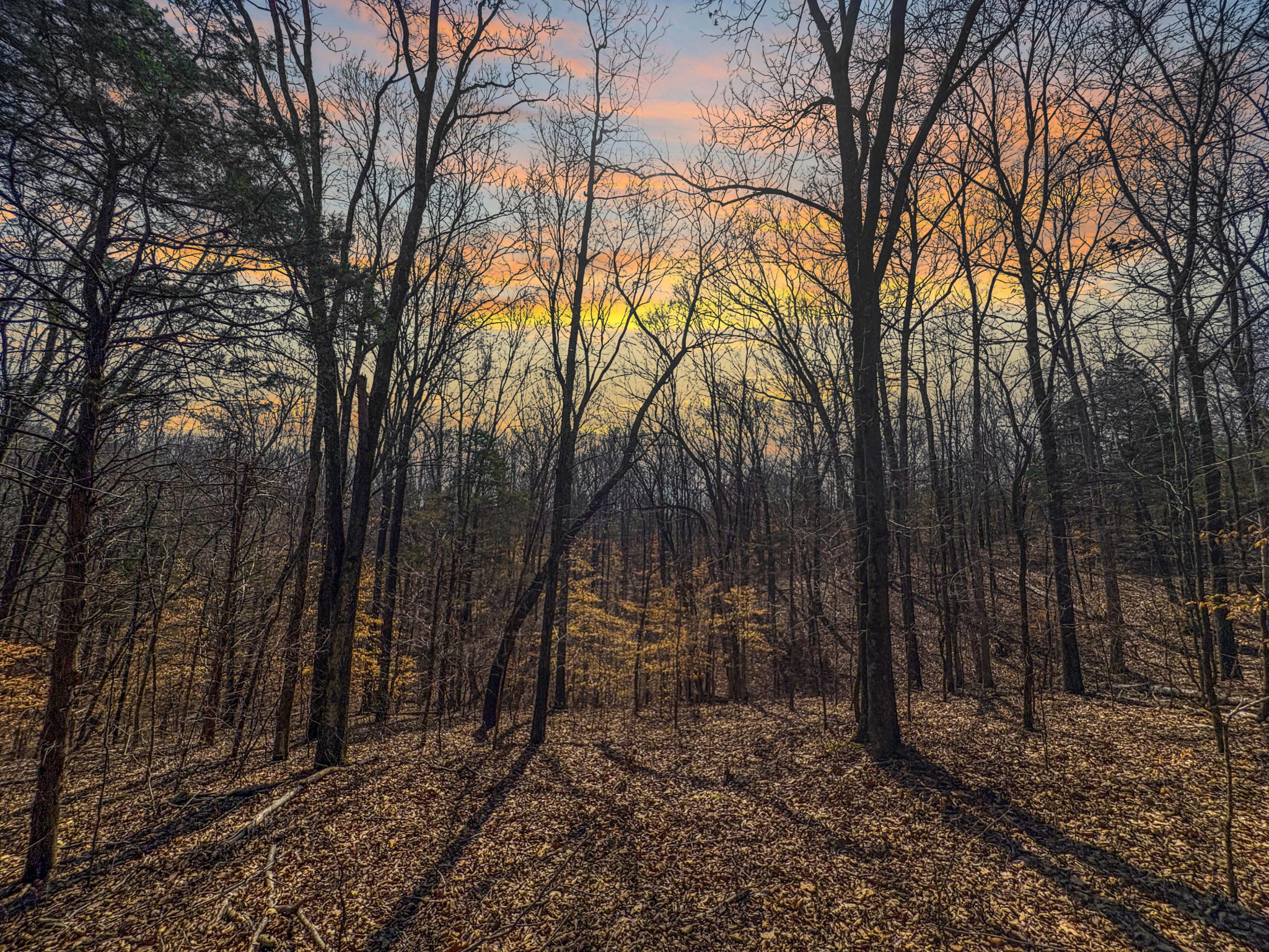 2287 Butcher Ridge RD