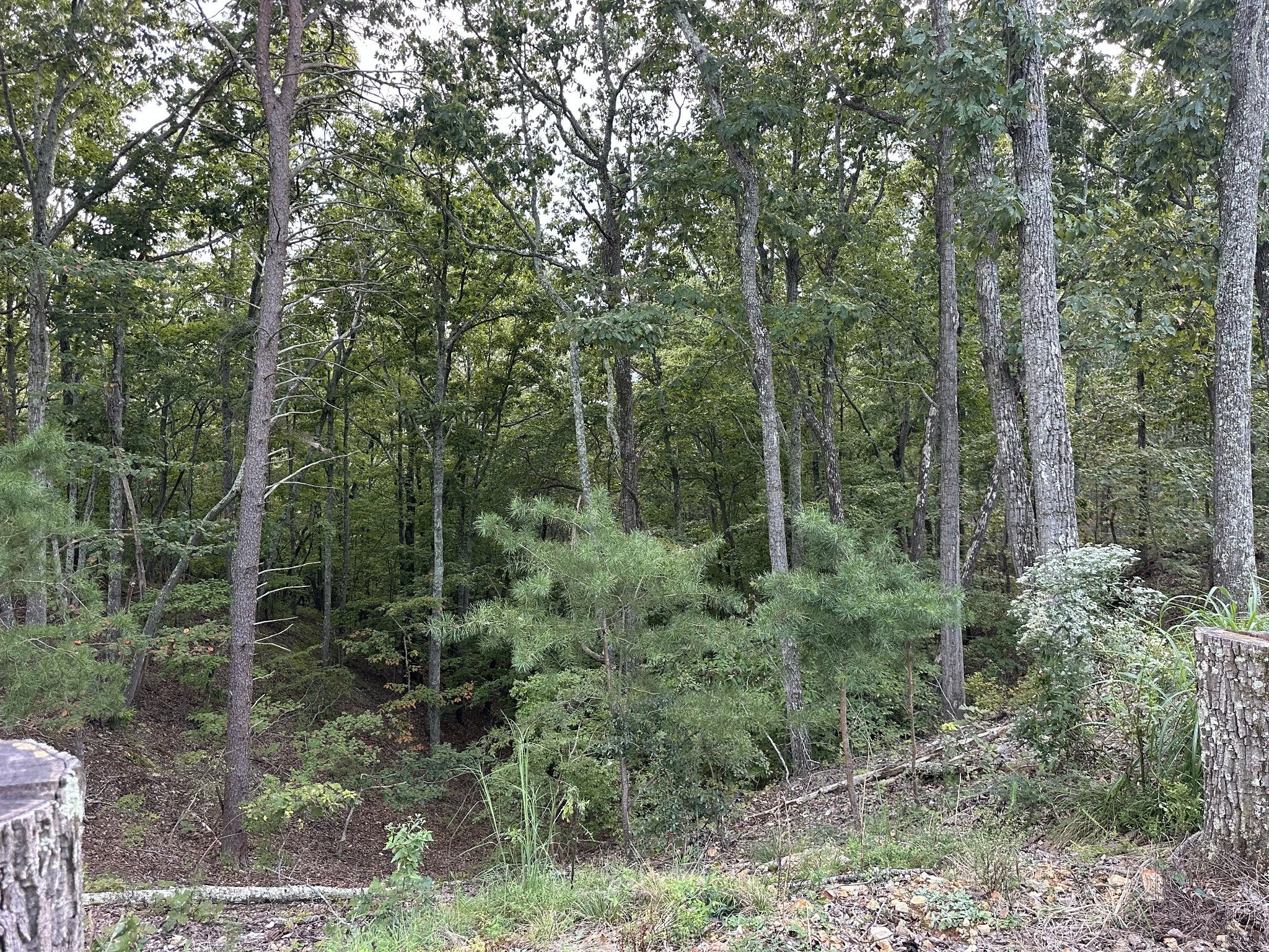 132 Eagle View Dr