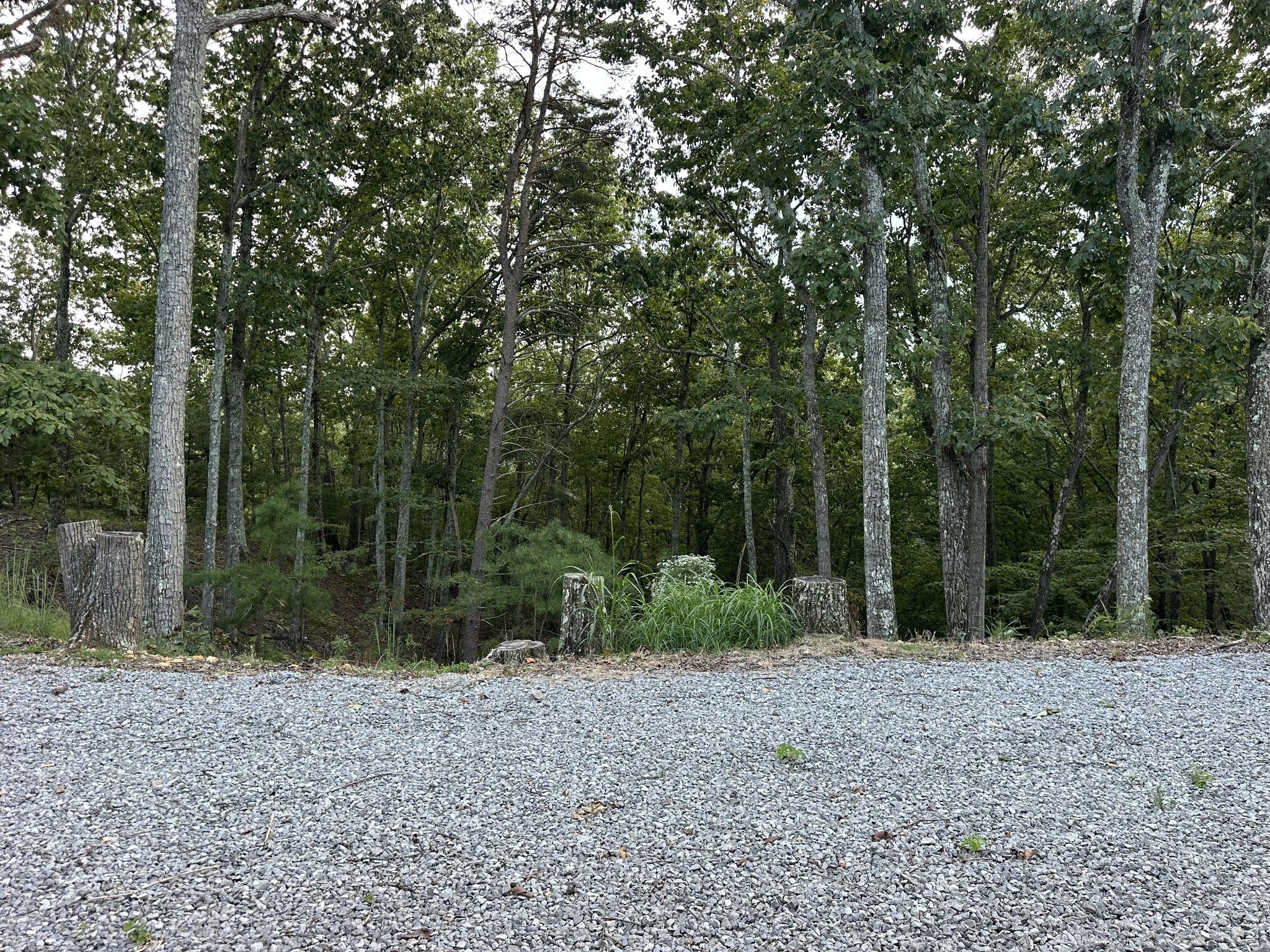 132 Eagle View Dr