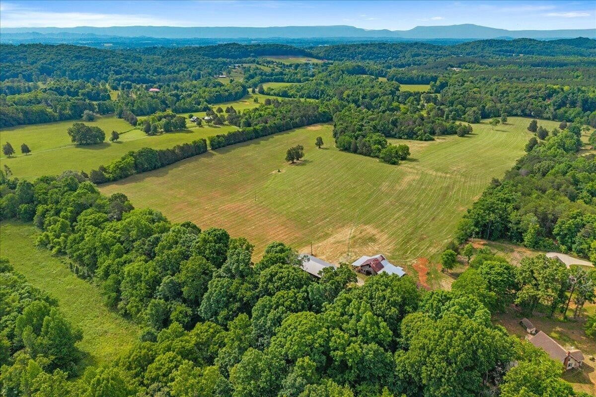 21 County Road 675