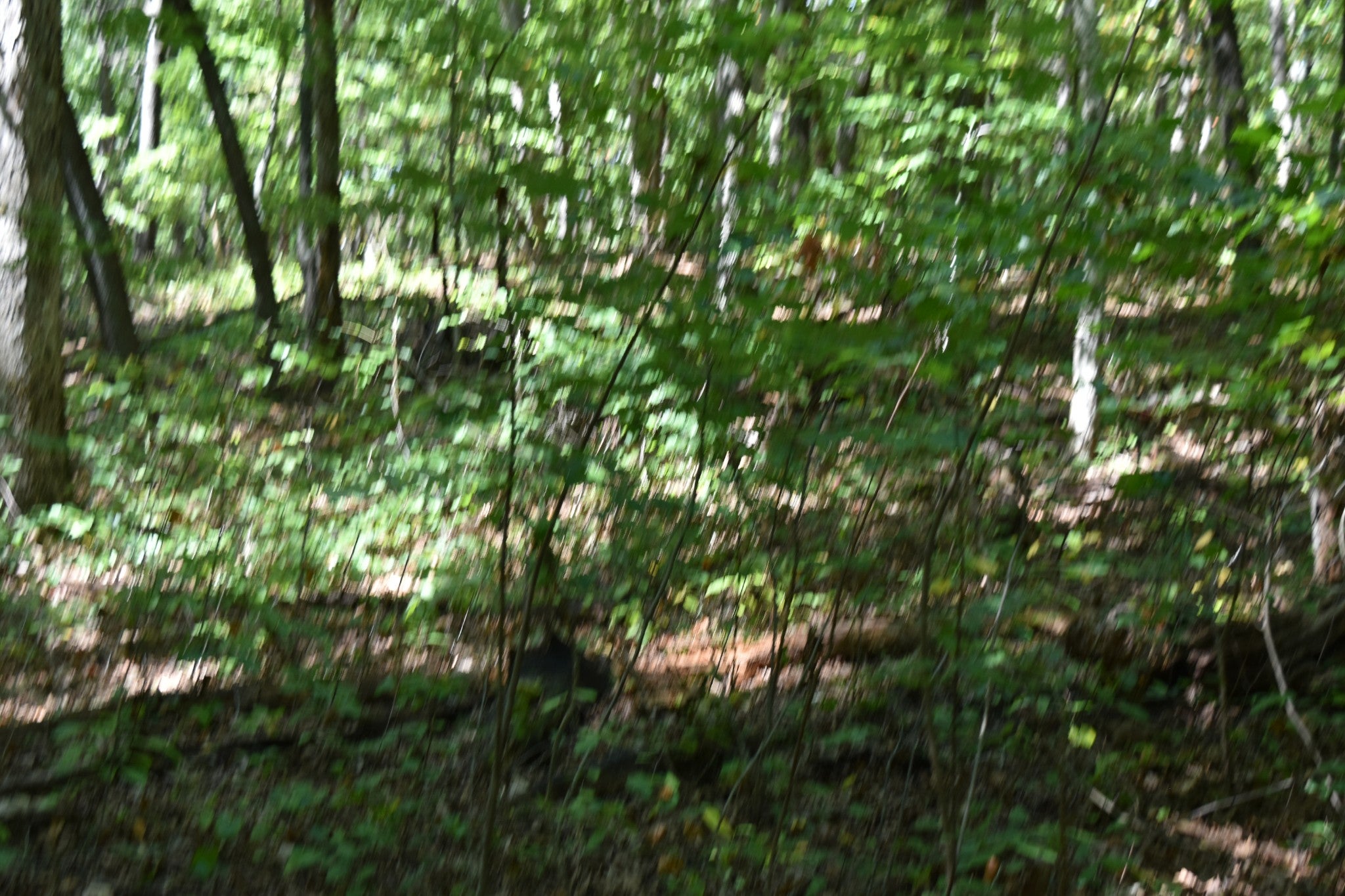 0 Lower Firetower Road