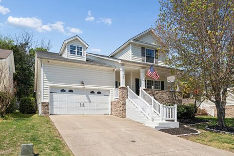 Photo of 408 Stone Chimney Ct, Nashville, TN 37214 (MLS # 3172802)