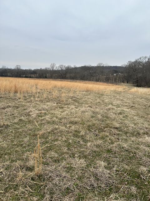 0 Lick Creek Trail Lyles TN 37098