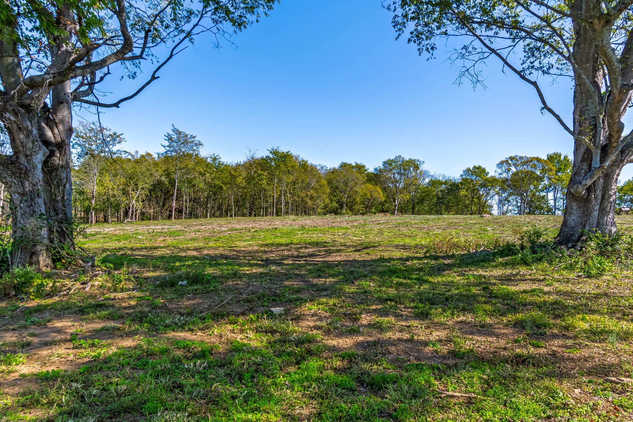 4021 Baileys Cove Ct