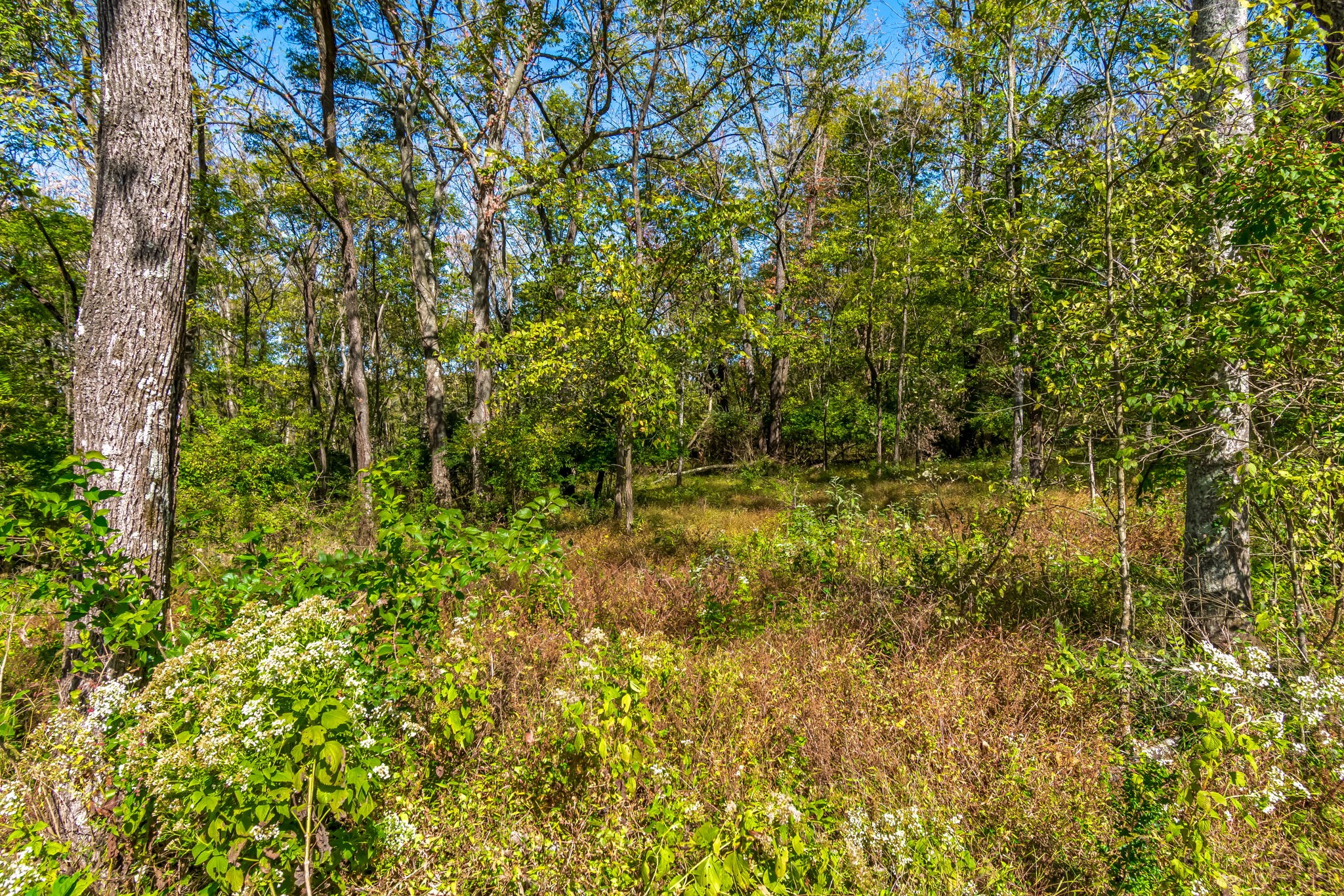 4021 Baileys Cove Ct