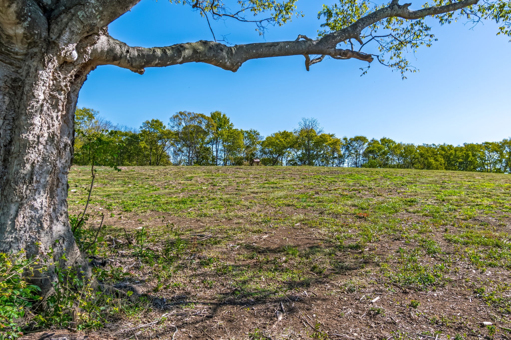 4021 Baileys Cove Ct