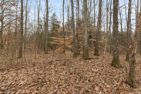 0 Gray Rd White Bluff TN 37187