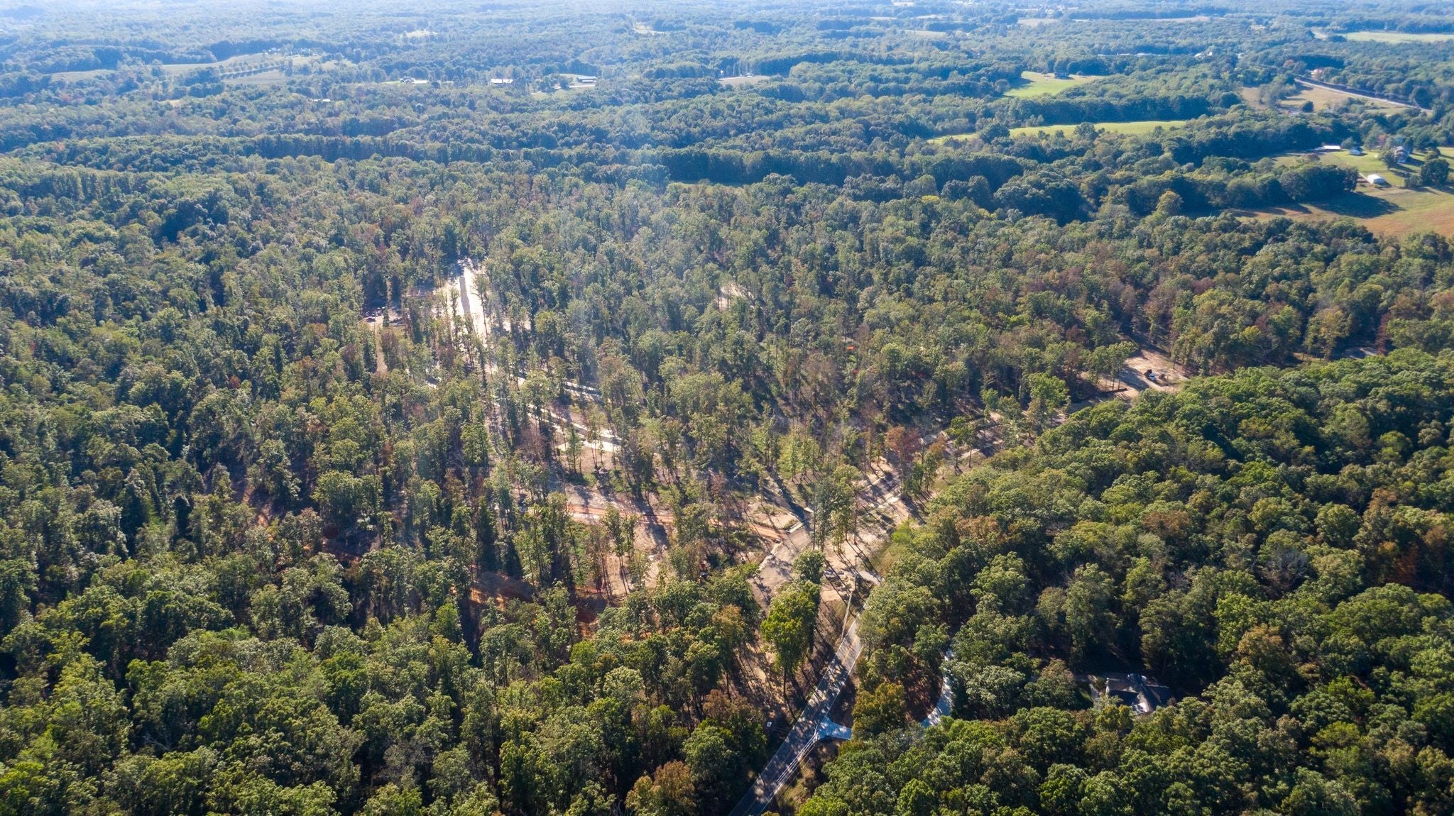 4 Anglin Branch