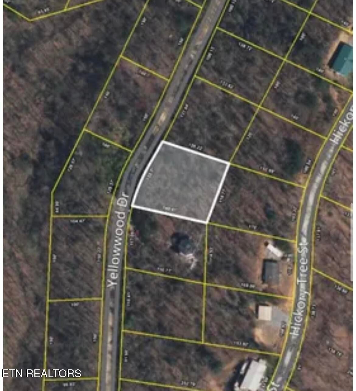 50 Yellowwood Drive