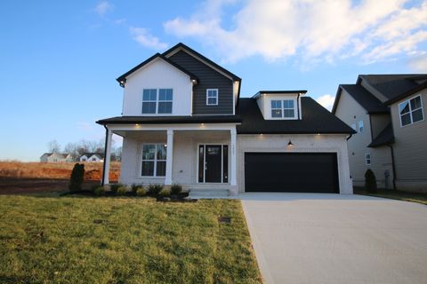 358 Timber Springs Clarksville TN 37042