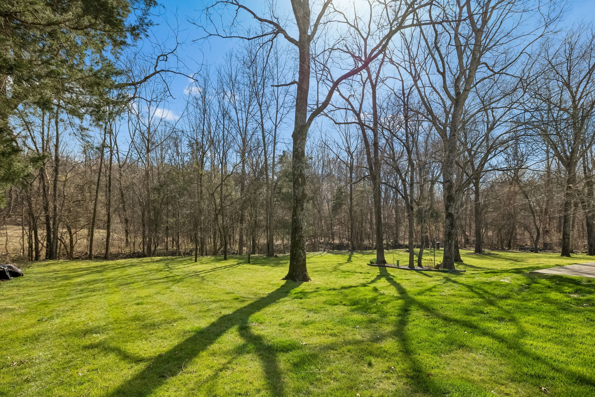 536 Great Angelica Way