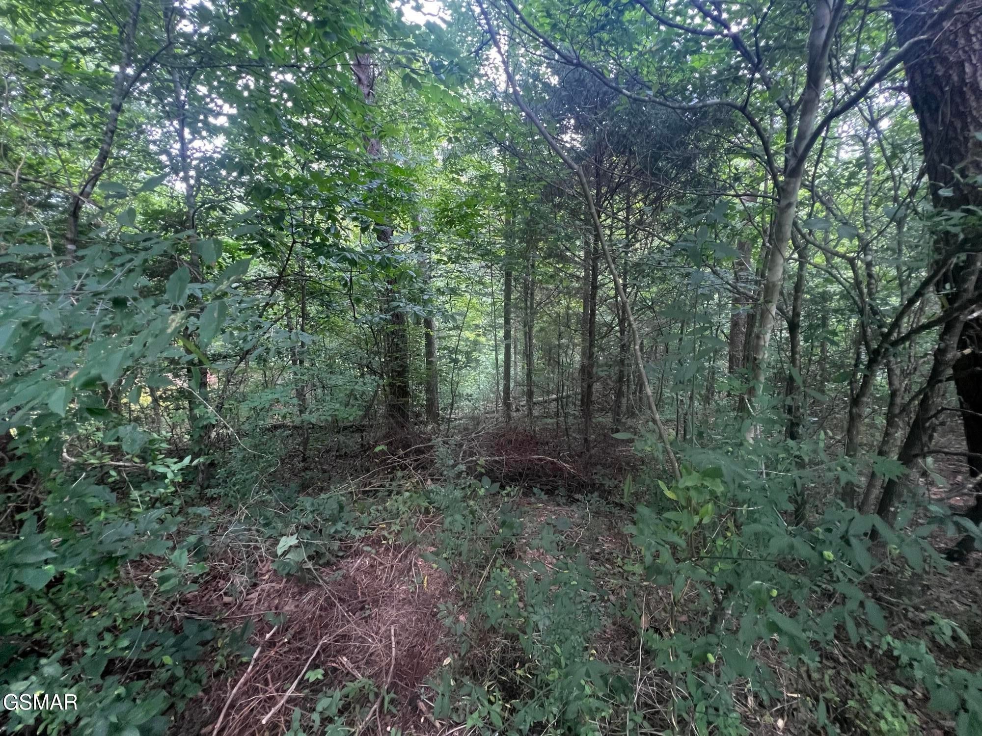 29 Scenic Woods Way